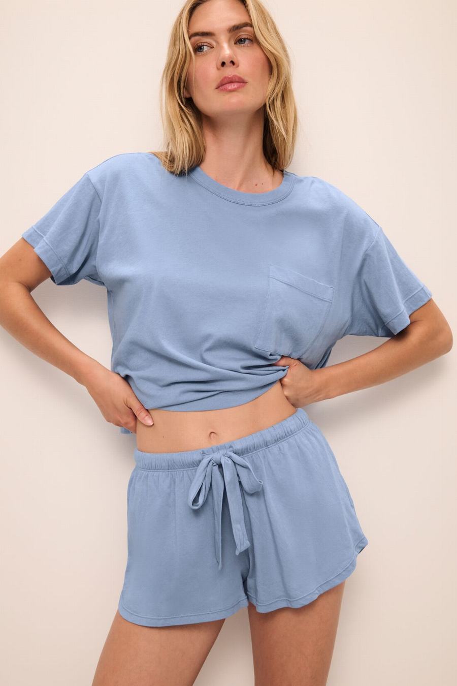 Eberjey Aloe Cotton Short Sleeve Women T-Shirt Blue | SFB7251HY