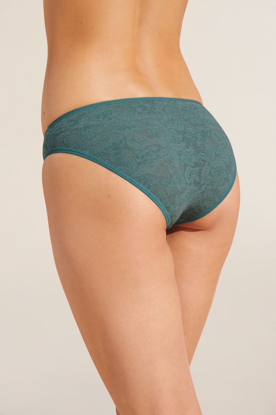 Eberjey Soft Stretch Recycled Lace High Leg Women Briefs Green | UOF9236CV